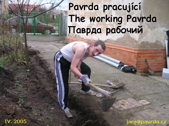 The working Pavrda